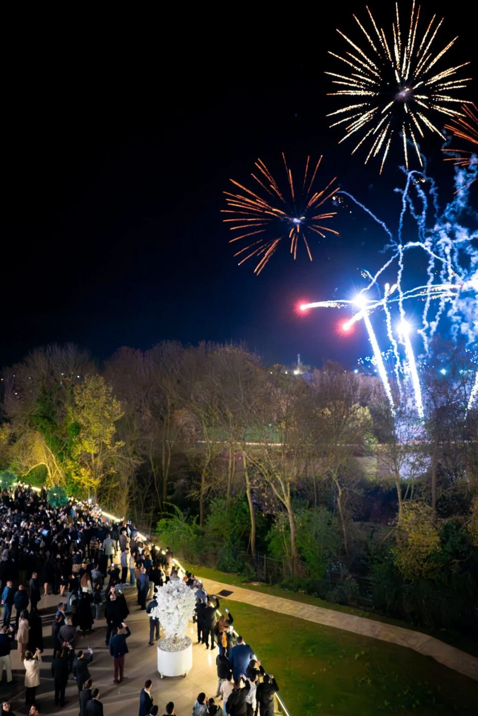 Feu d'artifice pour une mairie ou un organisme public